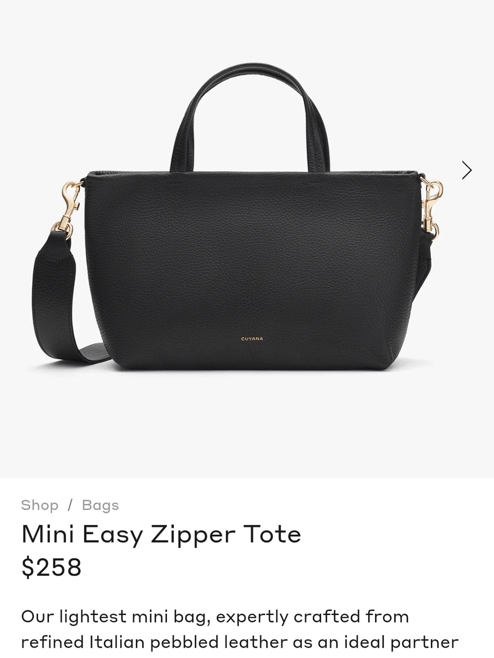 Cuyana Mini Easy Zipper Tote - Picture 2 of 10